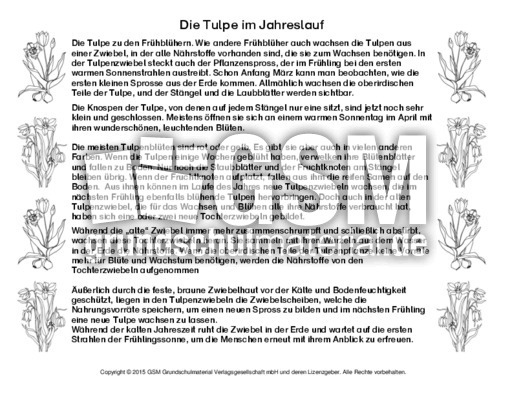 Abschreibtext-Tulpe-SW.pdf